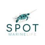 The Society for the Protection of Turtles (SPOT)