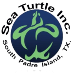 Sea Turtle Inc