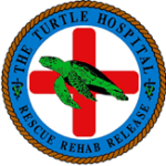 The Turtle Hospital