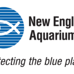 New England Aquarium