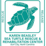 Karen Beasley Sea Turtle Rescue and Rehabilitation Center